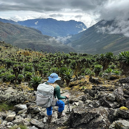 hiking in the mountains
