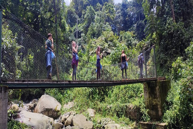 Trekking in the Rwenzori mountains.