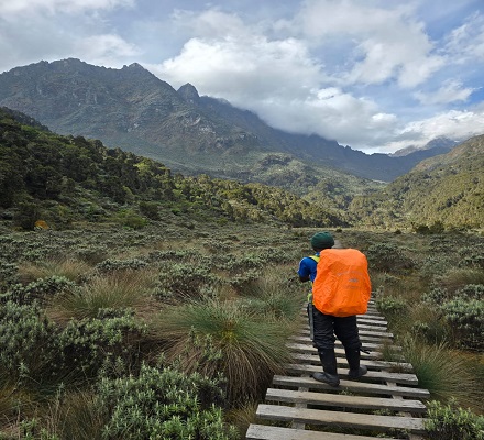 6 Days Margherita peak via Bukurungu Trail