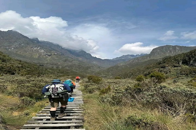 Bukurungu trail landscapes in Rwenzori mountains.