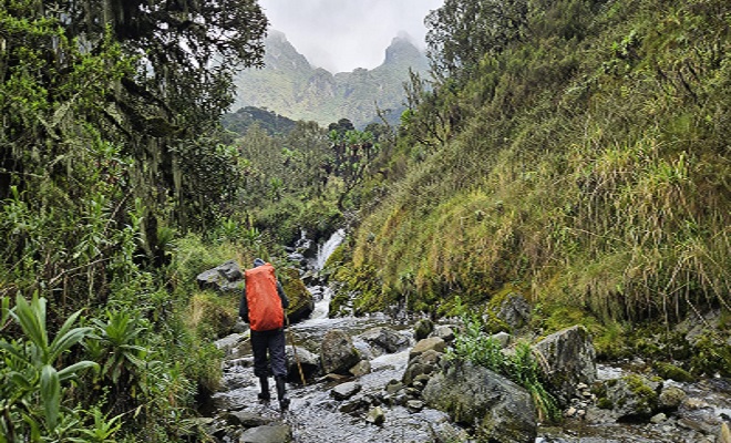 Guides and Porters for Rwenzori mountains trekking Trip