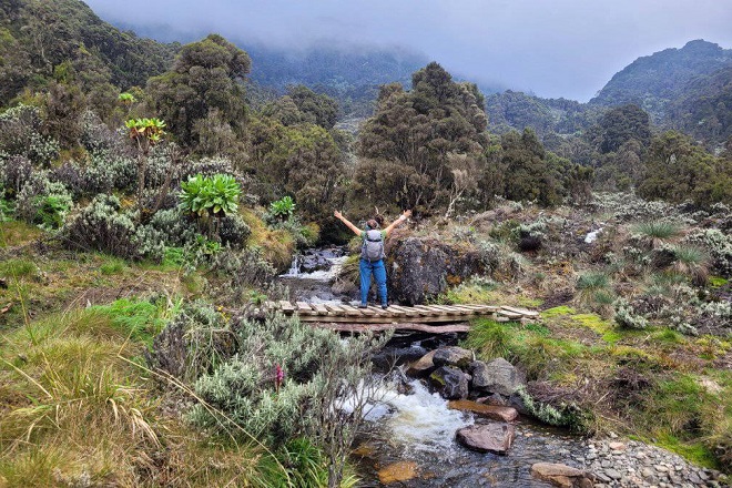 six major peaks of the Rwenzori Mountains