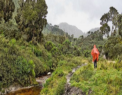 Photography trip to Rwenzori Mountains National Park.