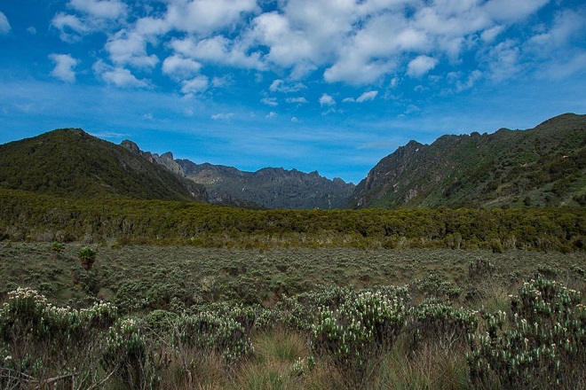 Mount Gessi|Rwenzori Mountains