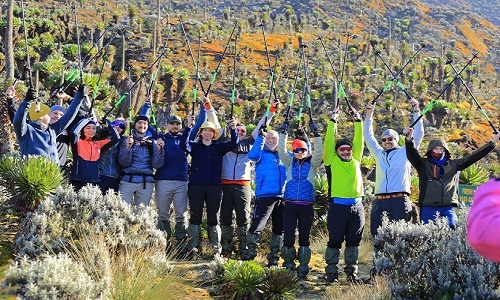 Discounted Rwenzori hiking Tours 2025/2026