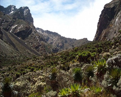 Trekking Rwenzori Mountains from Germany